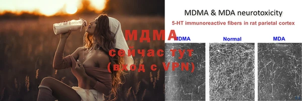 дживик Богородск