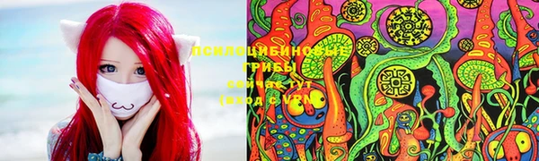 дживик Богородск