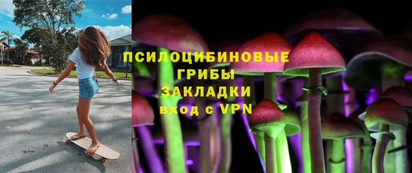 стафф Богданович