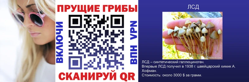 Псилоцибиновые грибы мицелий как найти закладки Луховицы