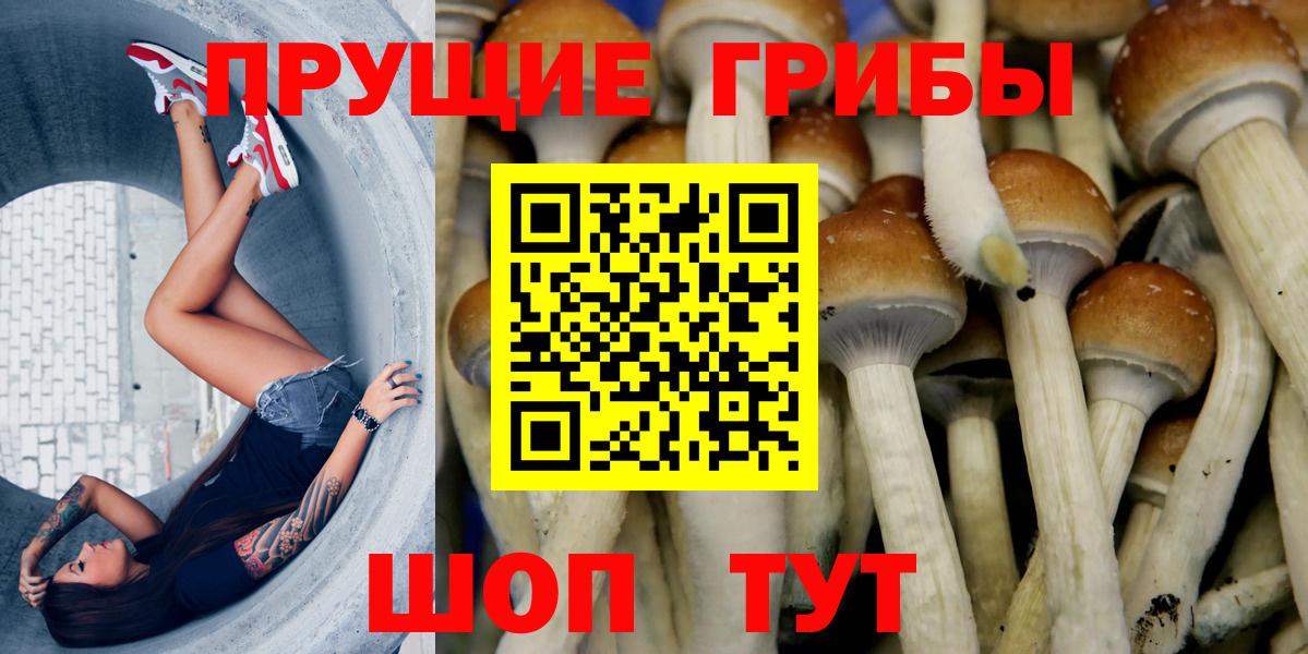 Псилоцибиновые грибы Cubensis Луховицы